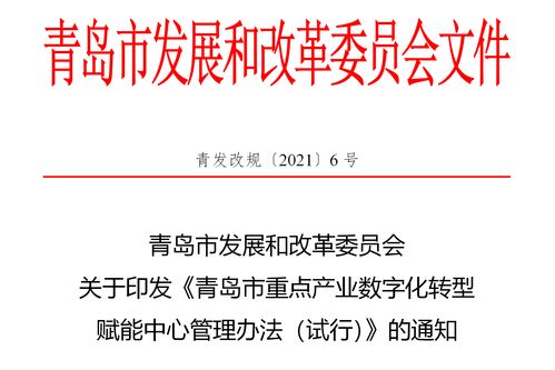 首批申報(bào)即將展開 青島出臺(tái)重點(diǎn)產(chǎn)業(yè)數(shù)字化轉(zhuǎn)型賦能中心管理辦法